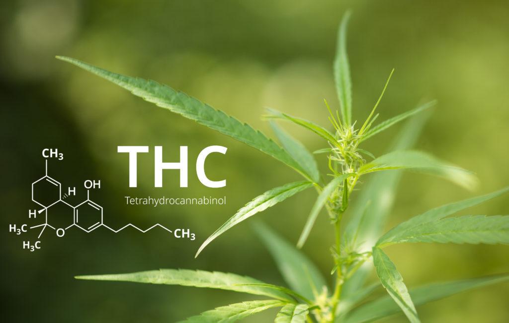 cannabis molecule