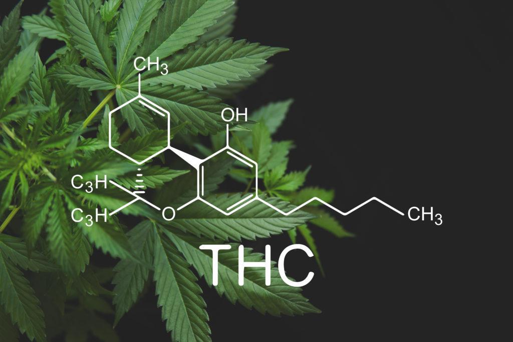 cannabis molecule