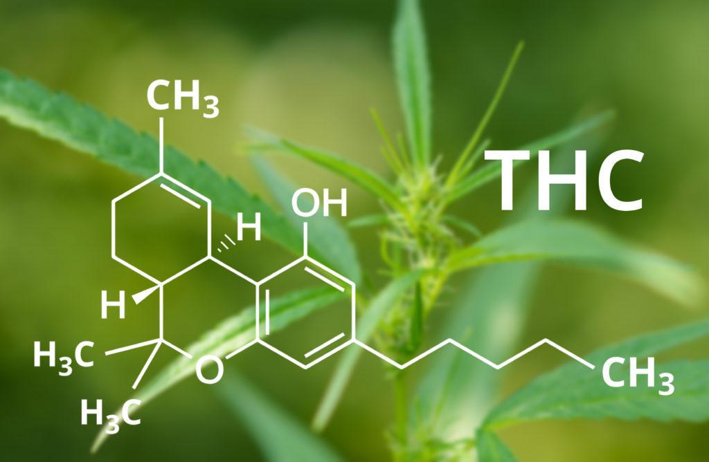 cannabis molecule