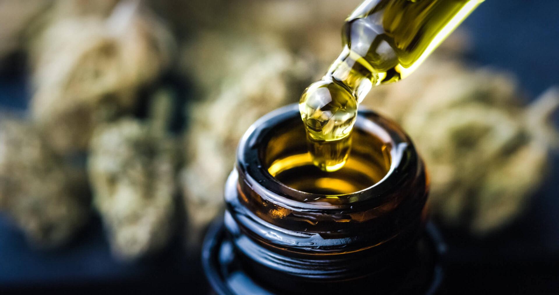 cbd oil up close