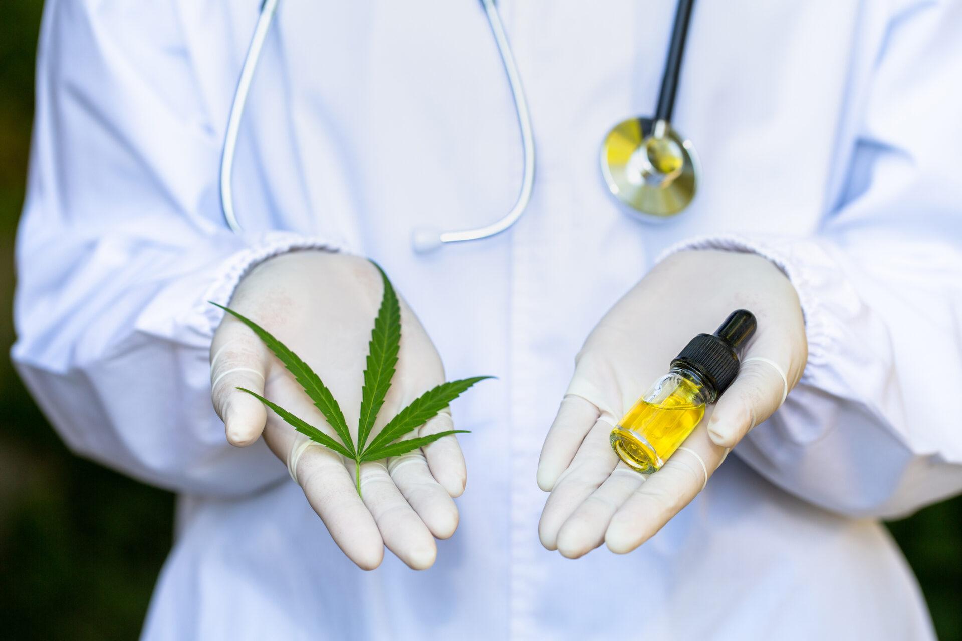 Cannabis leaf and oil in doctor's hands.
