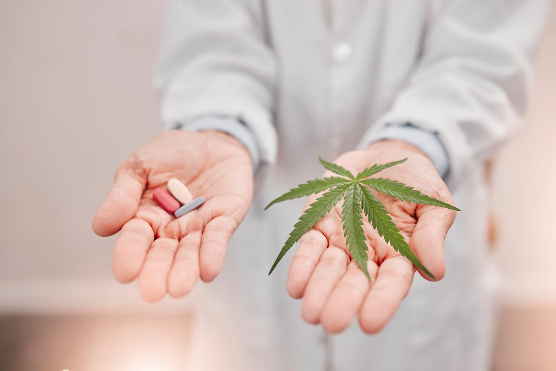 A doctor holds cannabis in one hand and pills in the other.