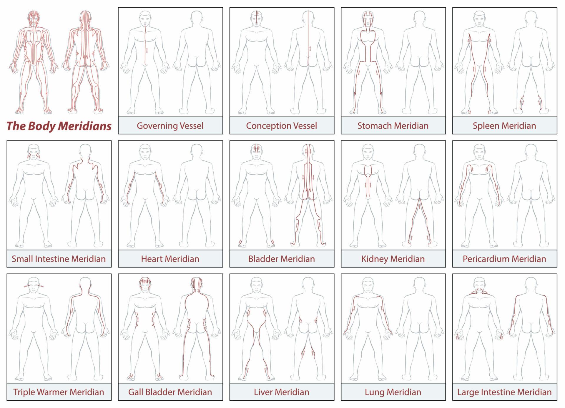 Schematic diagram of body meridians used in acupuncture
