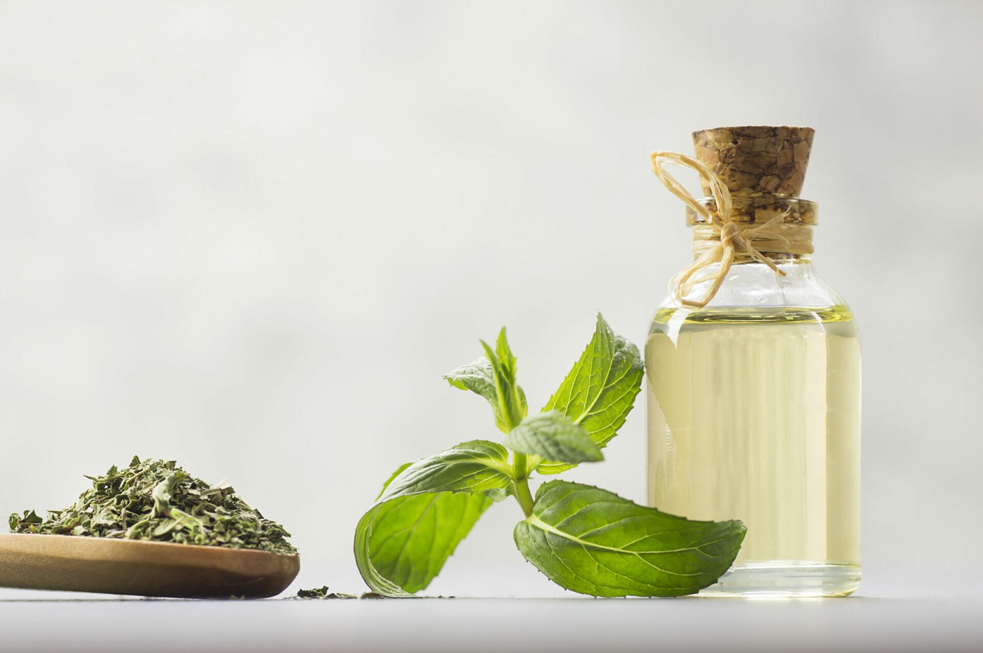Glass bottle of peppermint essential oil with fresh green mint leaves and dried mint on rustic background