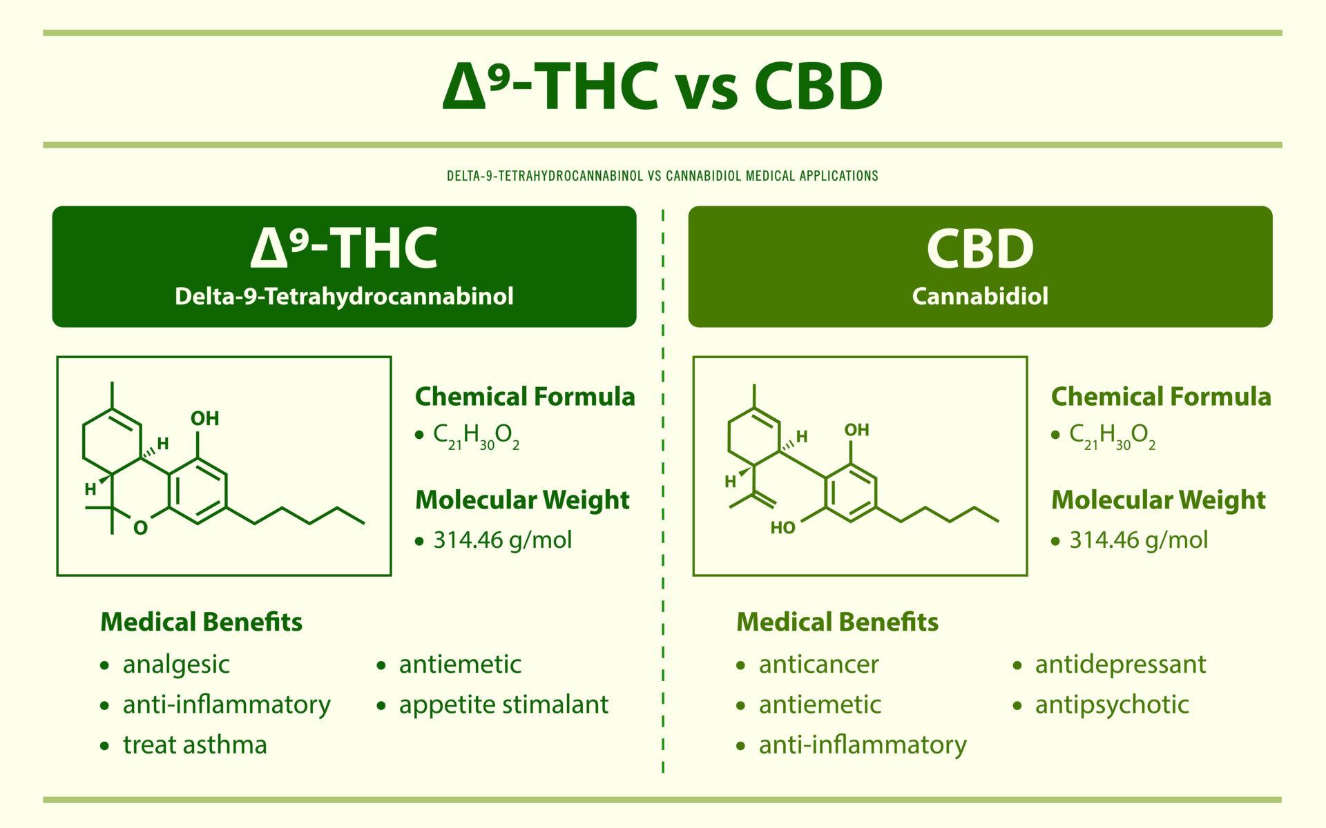 Infographic comparing THC and CBD.