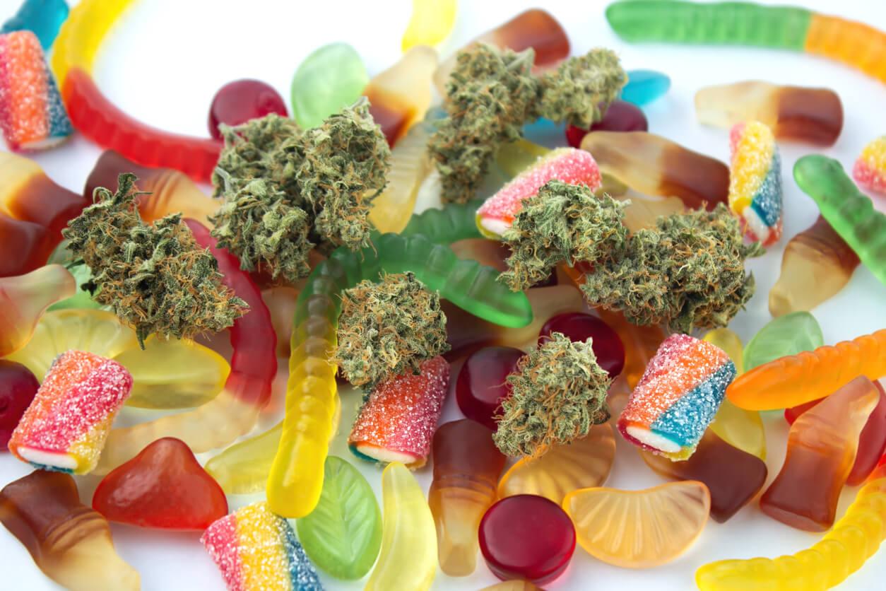 Dried medical marijuana buds lie among gummies of various shapes and flavours on a white background.