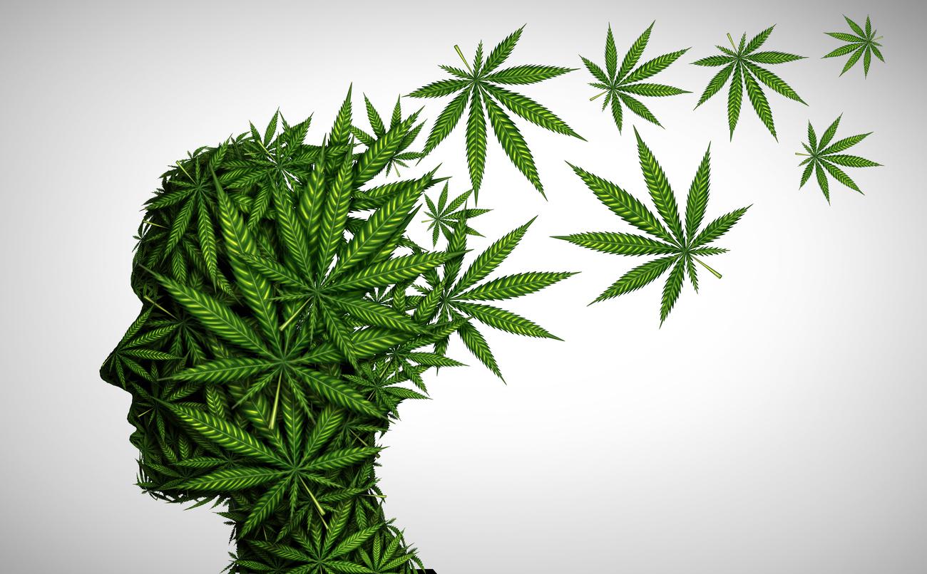 A conceptual image depicting a human profile made entirely of green cannabis leaves, symbolising the relationship between cannabis use and mental health.