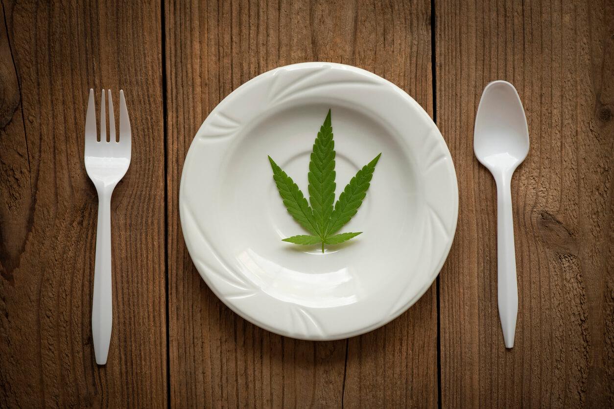 A cannabis leaf on a white plate, flanked by a plastic fork and spoon, symbolising the use of medical marijuana to stimulate appetite.