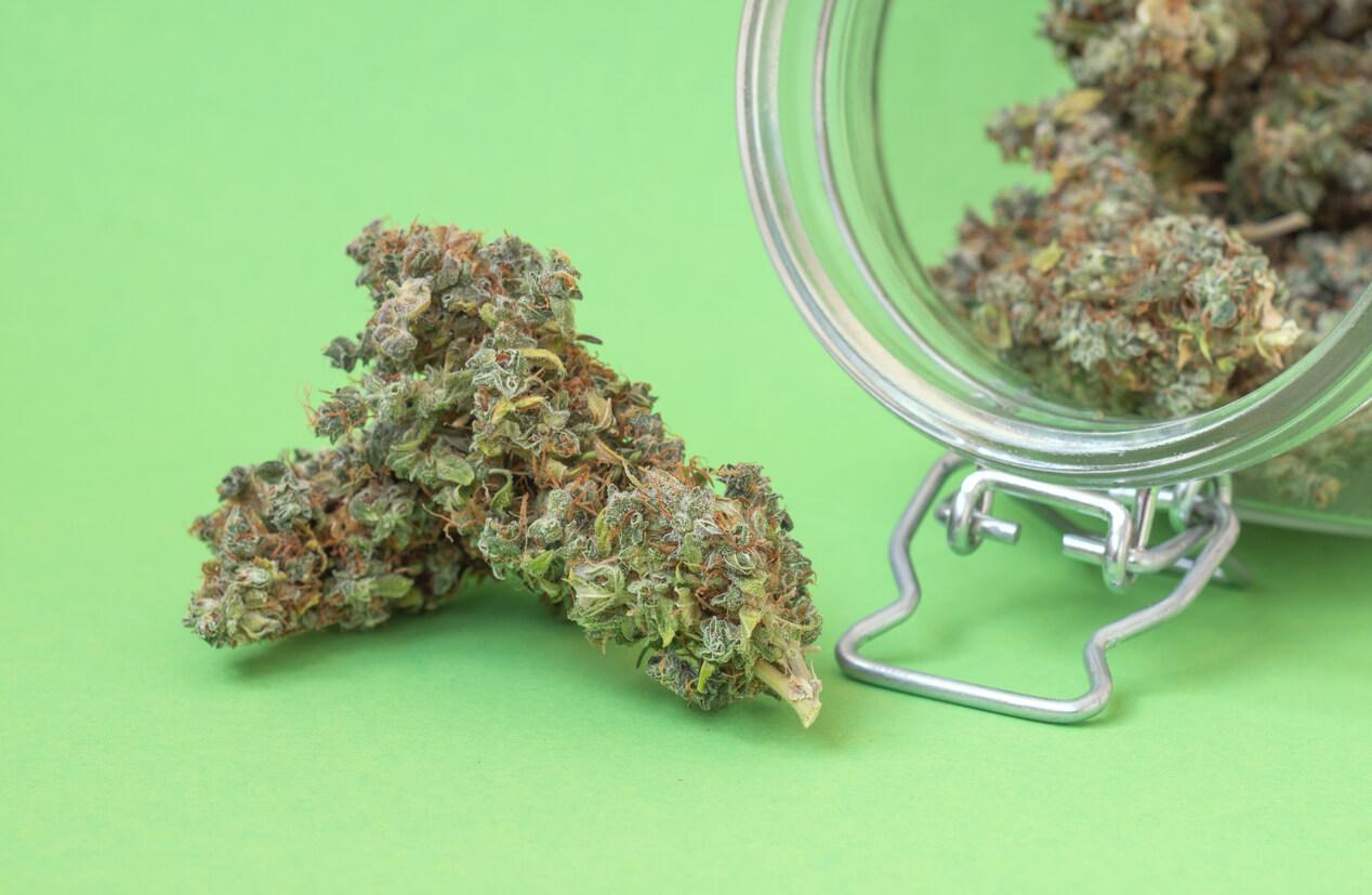 A jar of cannabis buds spilling out onto a green surface, highlighting the natural form of medical cannabis.
