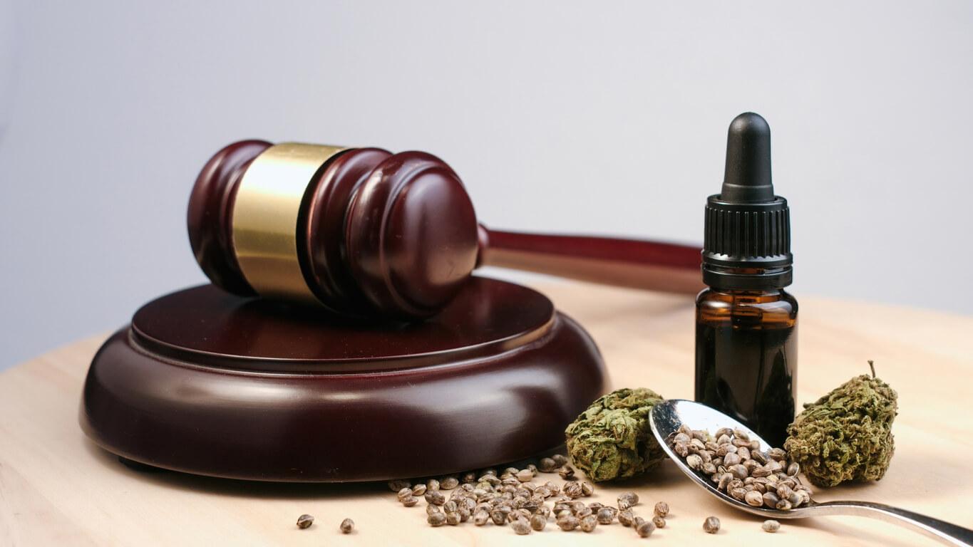 A judge's gavel rests beside a dropper bottle of cannabis oil and a spoon filled with cannabis seeds and buds, symbolising the legal considerations surrounding medical cannabis.